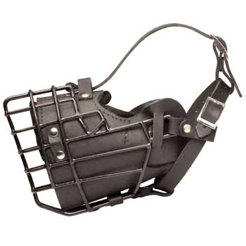 Leather Amstaff Muzzle Padded Metal Basket