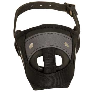 Nylon and Leather Amstaff Muzzle with Steel Bar for Protection Training