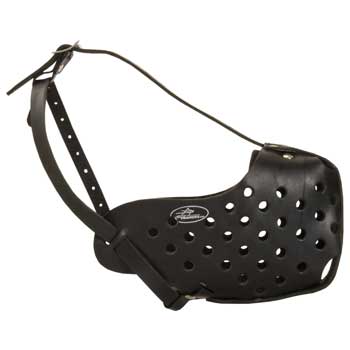 Safe Leather Muzzle for Amstaff Walking
