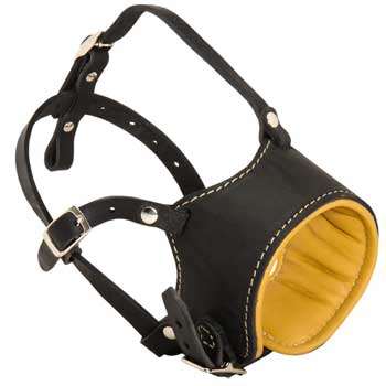 Adjustable Amstaff Muzzle Padded with Soft Nappa Leather for Anti-Barking Training